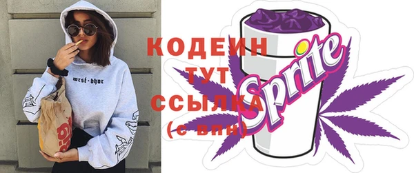дурь Алексин