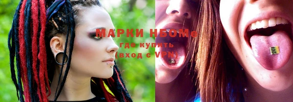 крисы Абаза