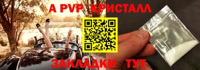 стафф Лесосибирск