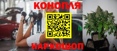 PSILOCYBIN Ливны